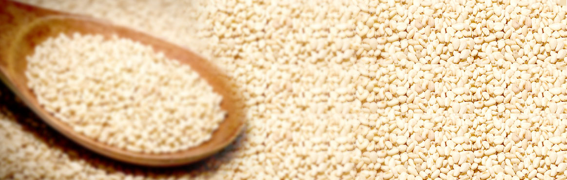 長(zhǎng)康香芝麻調(diào)味油 長(zhǎng)康香芝麻調(diào)味油